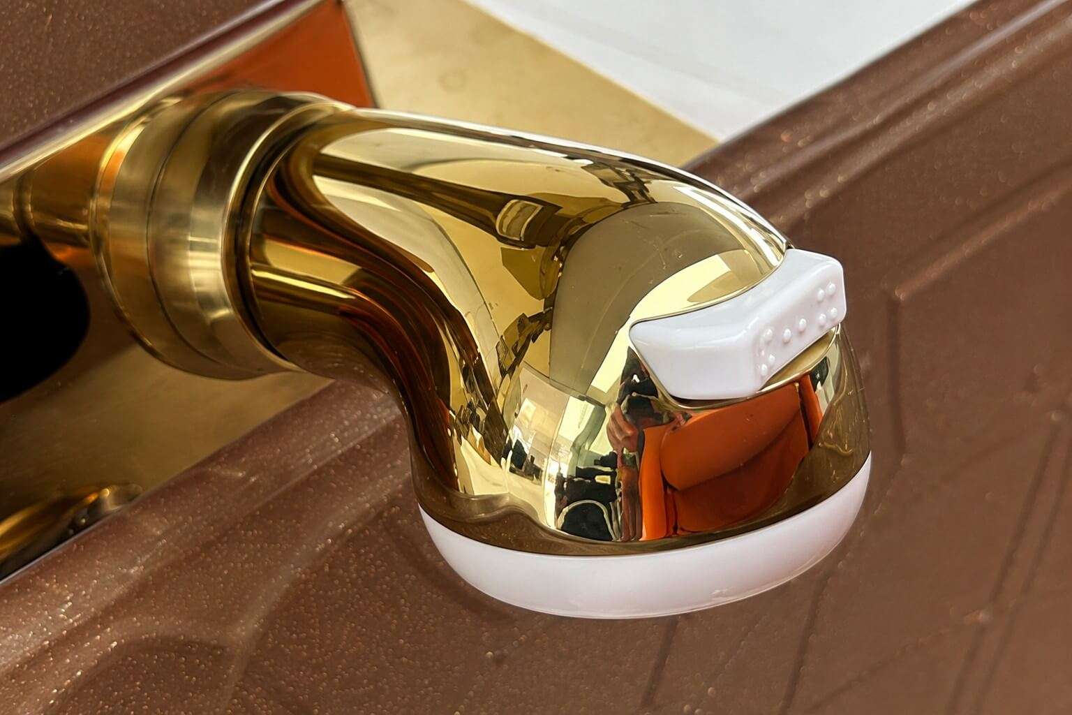 pedicure chair shower head